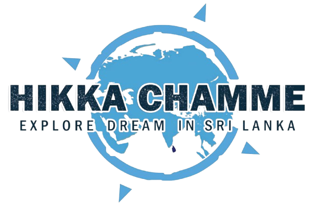 memoguideholidays.online